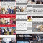 صفحہ 8