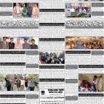 صفحہ 8