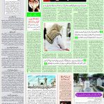 صفحہ 7
