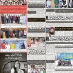 صفحہ 8