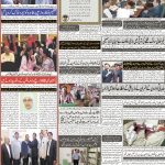 صفحہ 8