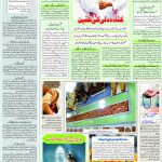صفحہ 7