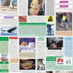 صفحہ 8