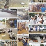 صفحہ 8