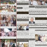 صفحہ 8