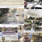 صفحہ 8