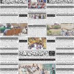 صفحہ 4